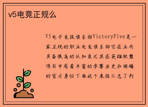 v5电竞正规么